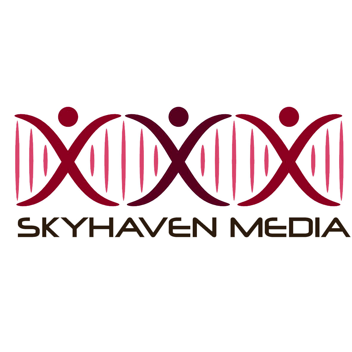 skyhaven logo new2